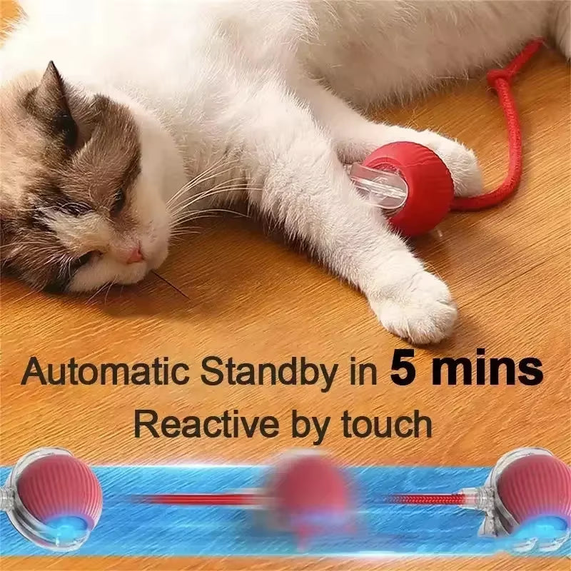 Interactive Rechargeable Pet Ball - Automatic Rolling Toy with Fake Tail for Dogs and Cats