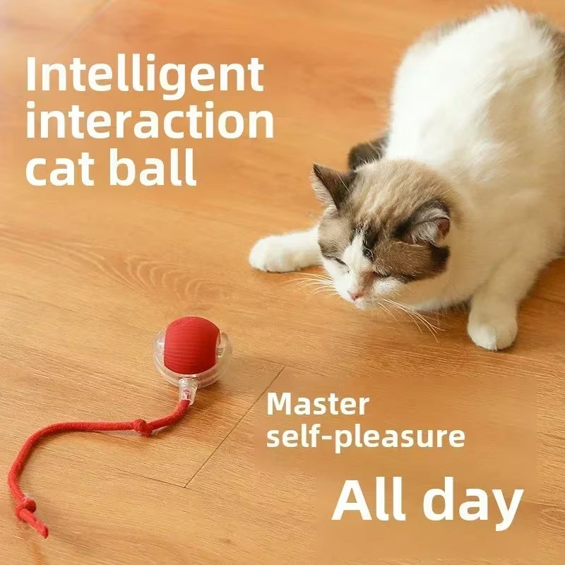 Interactive Rechargeable Pet Ball - Automatic Rolling Toy with Fake Tail for Dogs and Cats