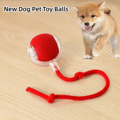 Interactive Rechargeable Pet Ball - Automatic Rolling Toy with Fake Tail for Dogs and Cats